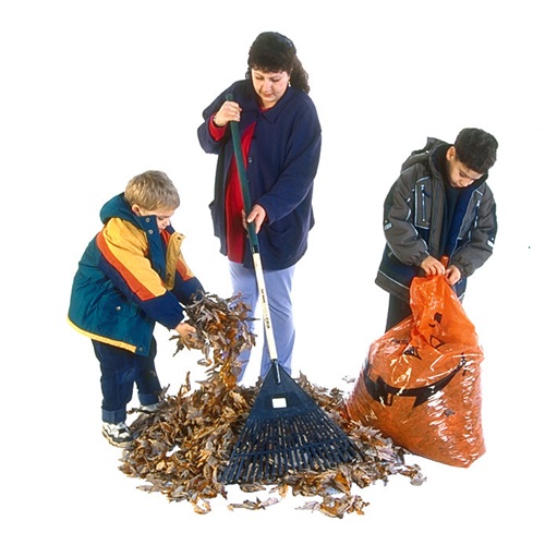 do yard work in verbal behavior  category